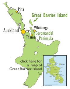 Travel to Great Barrier Island; packages, rental cars, and transfers